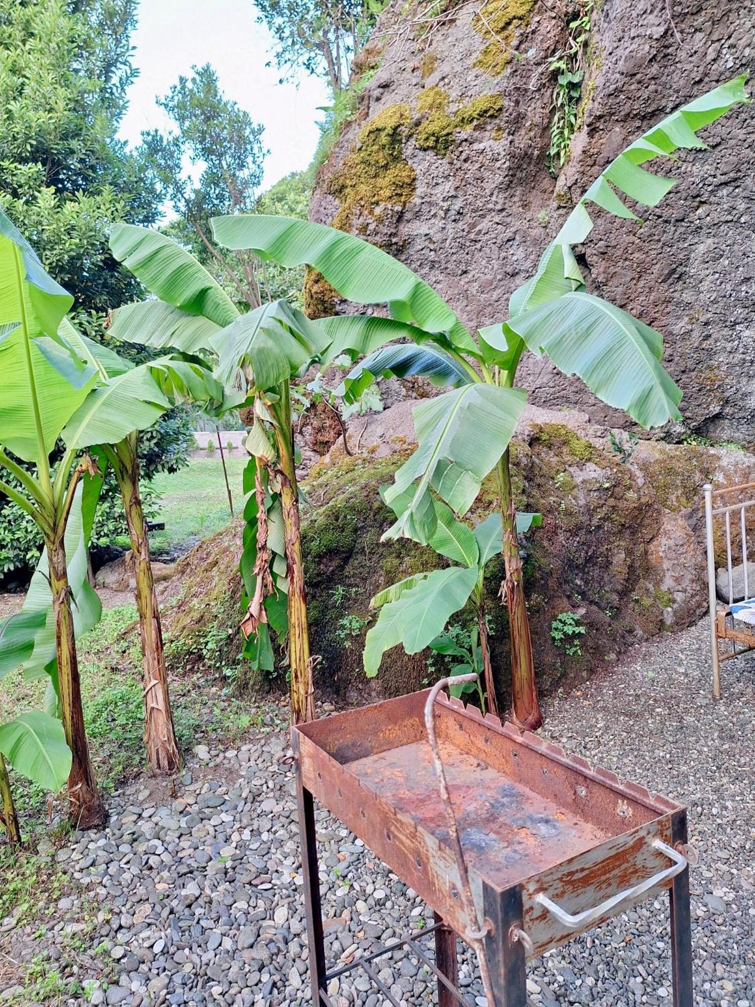 House In Gonio-Kvariati Economy Class Luaran gambar