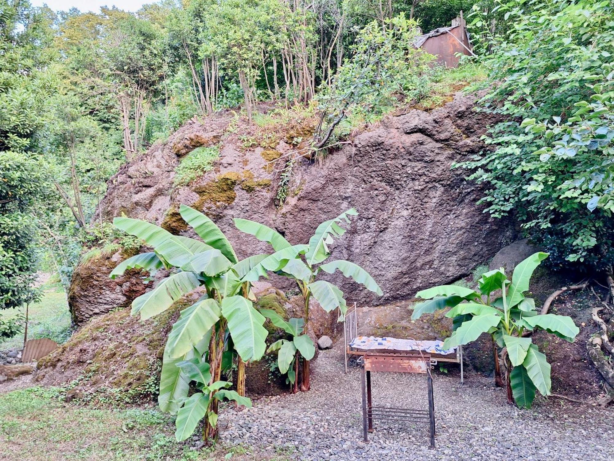 House In Gonio-Kvariati Economy Class Luaran gambar